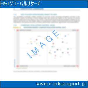 市場と産業調査レポートのイメージ